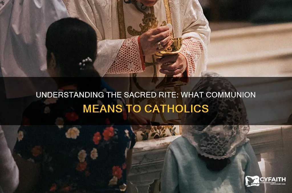 what is a communion to catholics