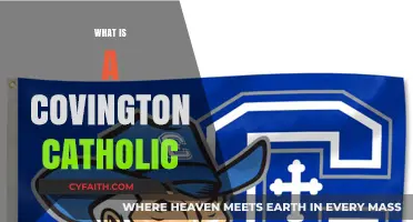 Understanding Covington Catholic: A Comprehensive Guide to the School's Identity
