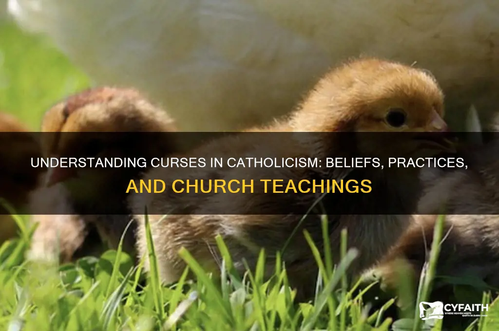 what is a curse catholic