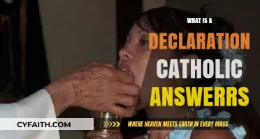 Understanding Catholic Declarations: Key Insights and Answers Explained