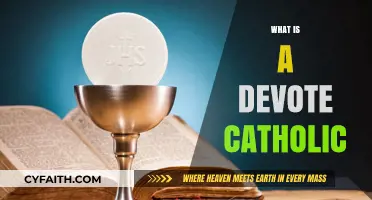 Understanding Devout Catholicism: Faith, Practices, and Daily Life Explained