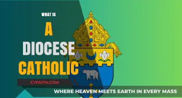 Understanding the Role and Structure of a Catholic Diocese