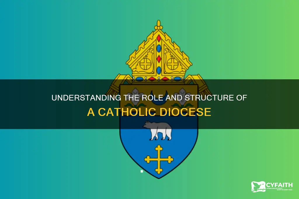 what is a diocese catholic