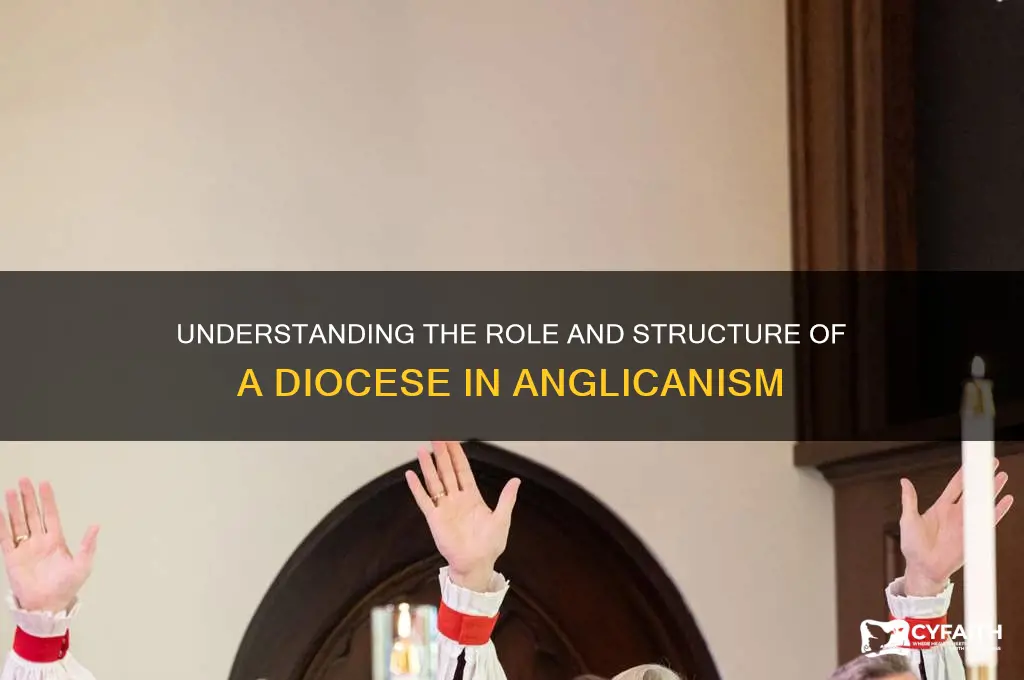 what is a diocese in the anglican church