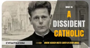 Understanding Dissident Catholicism: Beliefs, Practices, and Controversies Explained