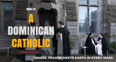 Understanding the Dominican Catholic Order: Faith, History, and Mission