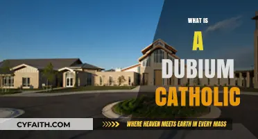 Understanding the Dubium Catholic: A Guide to Its Meaning and Role