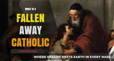 Understanding the Journey of a Fallen Away Catholic: Insights and Reflections