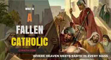 Understanding the Journey of a Fallen Catholic: Faith, Doubt, and Redemption