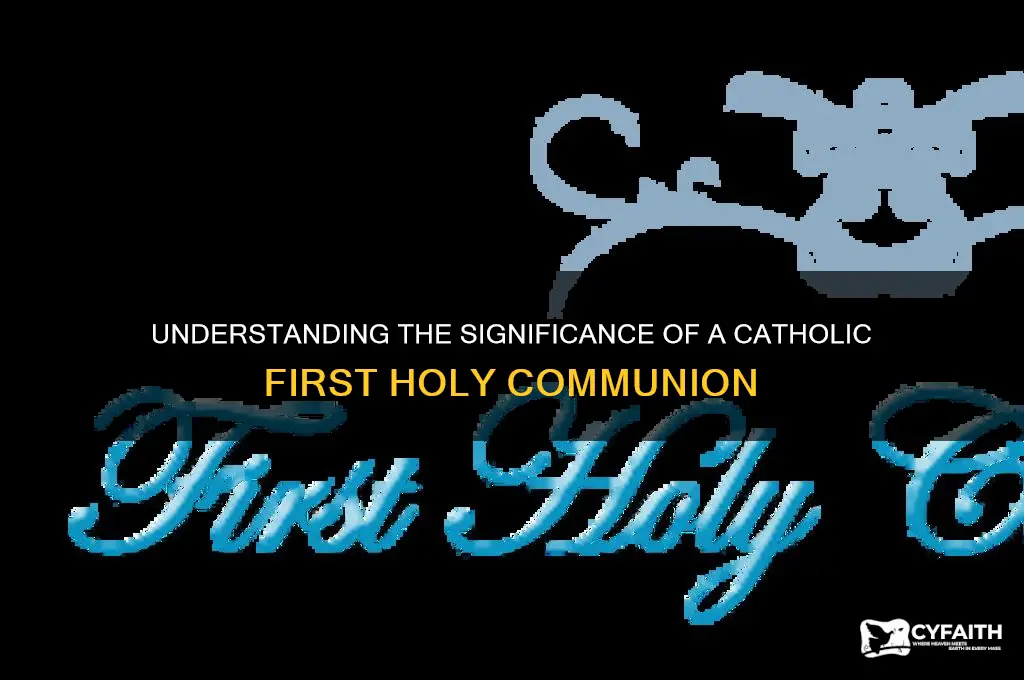what is a first holy communion catholic