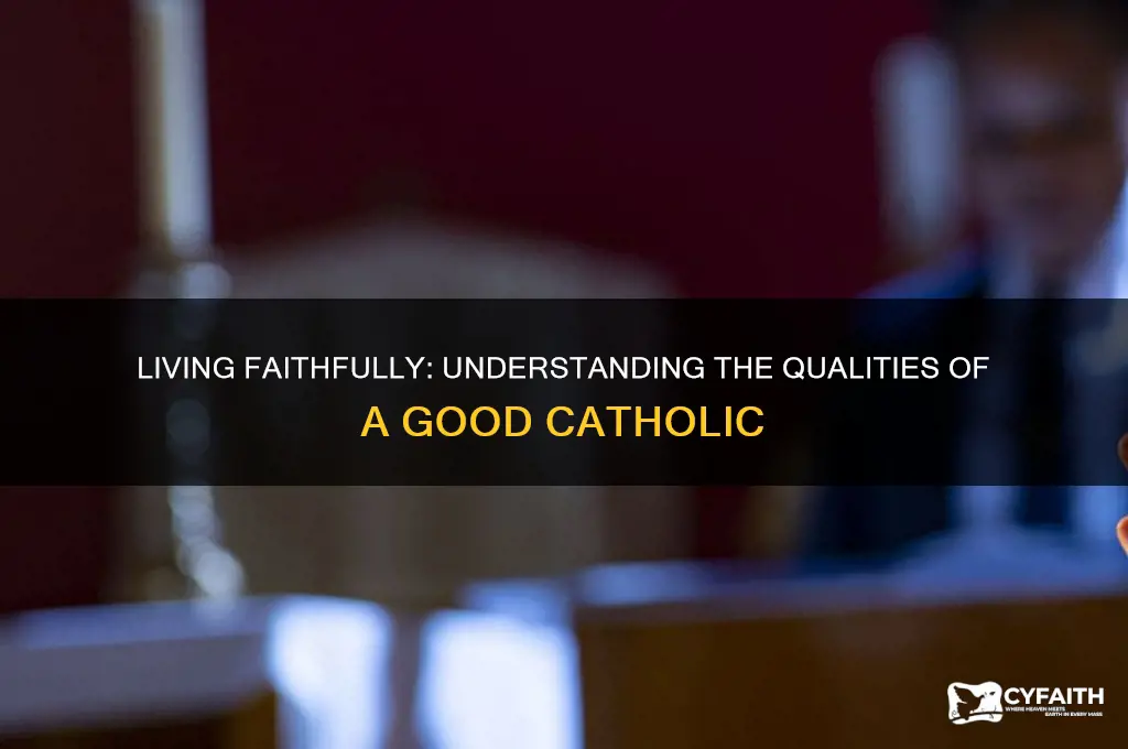 what is a good catholic