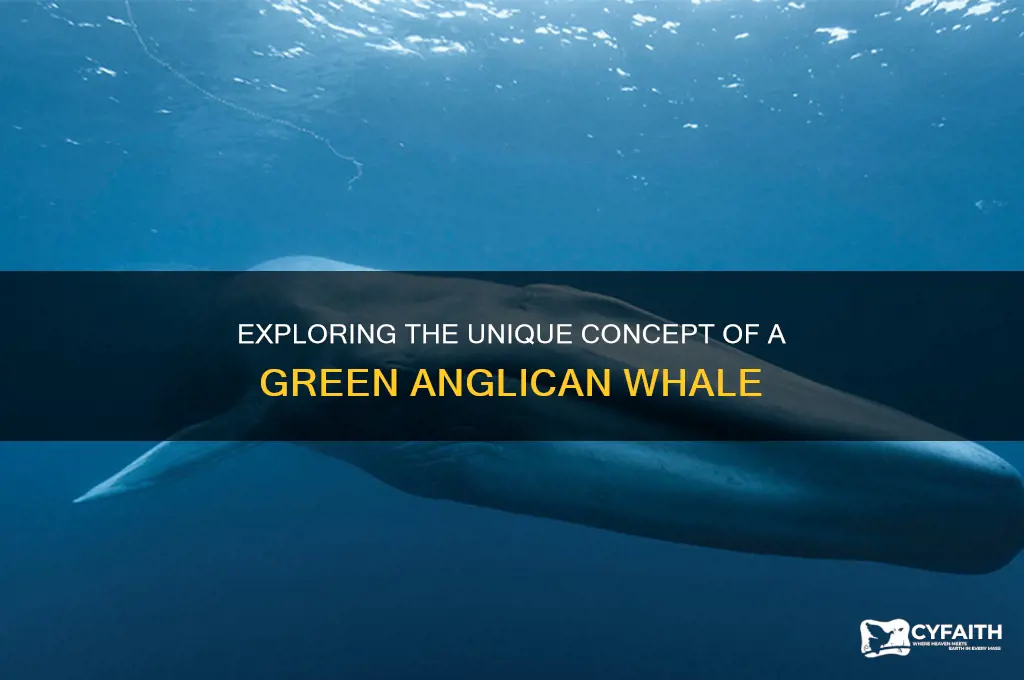 what is a green anglican whale