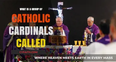 Understanding the Sacred Assembly: What is a Group of Catholic Cardinals Called?