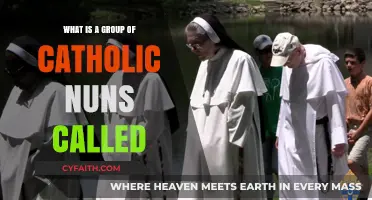 Understanding the Collective Term for Catholic Nuns: A Community Explained