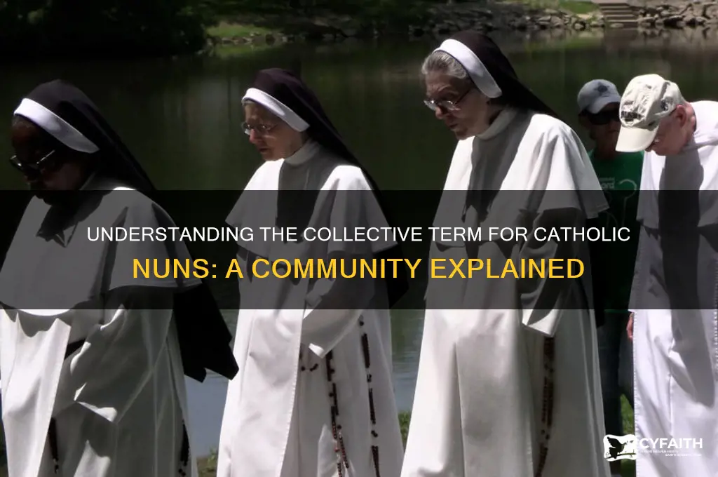 what is a group of catholic nuns called