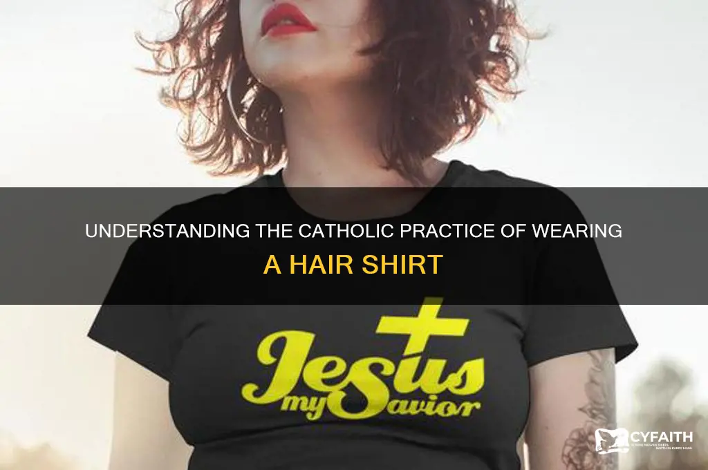what is a hair shirt catholic