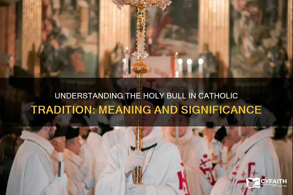 what is a holy bull catholic