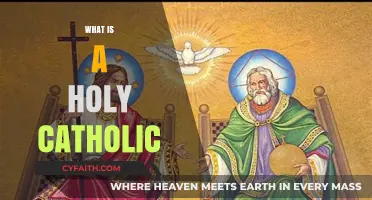 Understanding the Meaning and Significance of a Holy Catholic Life