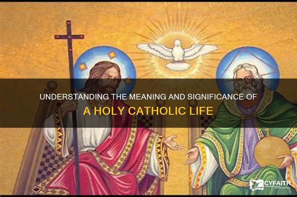 what is a holy catholic