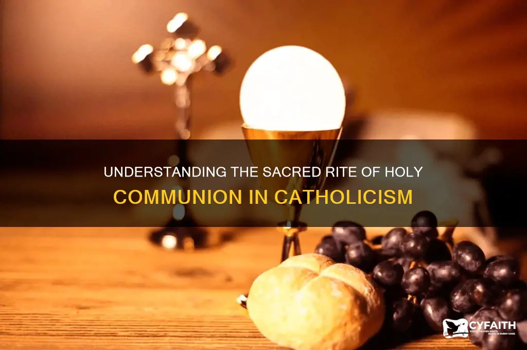 what is a holy communion catholic