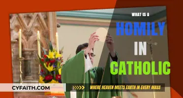 Understanding the Catholic Homily: Purpose, Structure, and Significance Explained