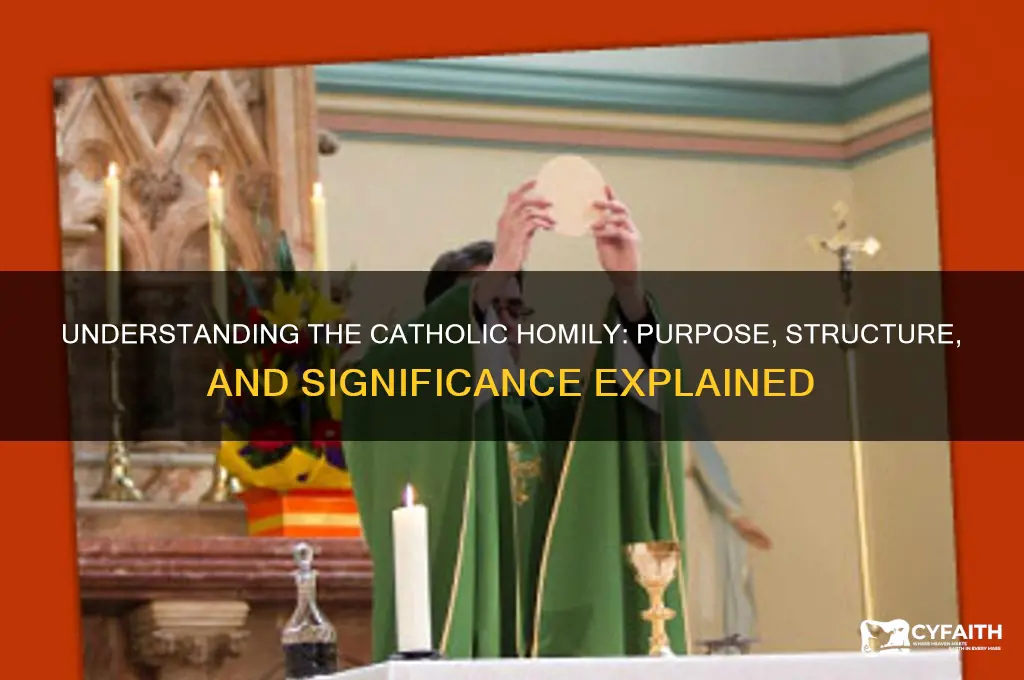 what is a homily in catholic