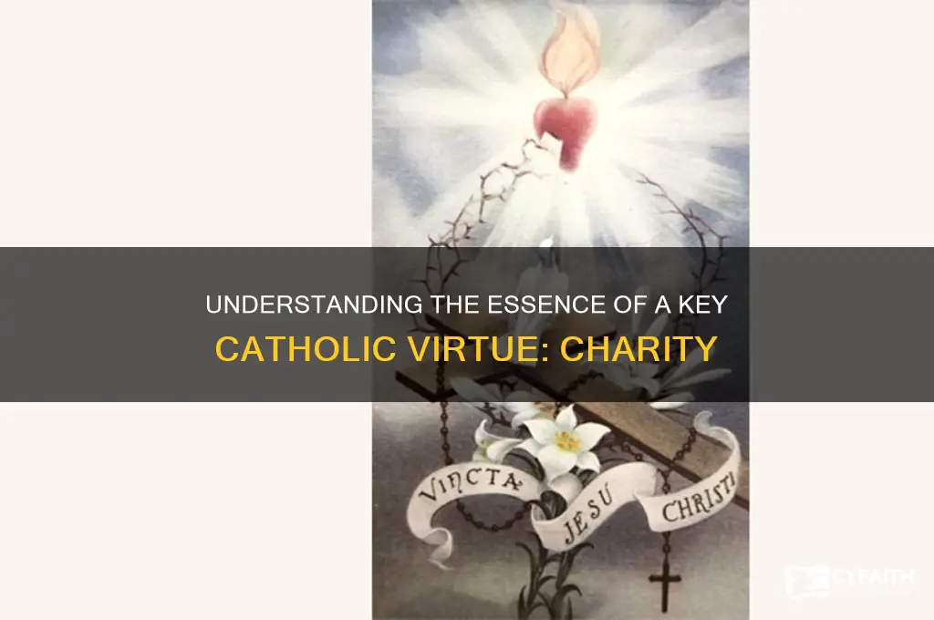 what is a key catholic virtue