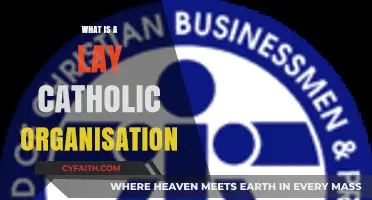 Understanding Lay Catholic Organizations: Roles, Mission, and Impact Explained