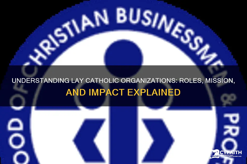what is a lay catholic organisation