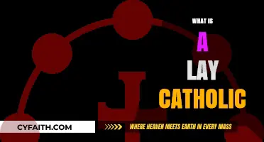 Understanding the Role and Identity of a Lay Catholic Today