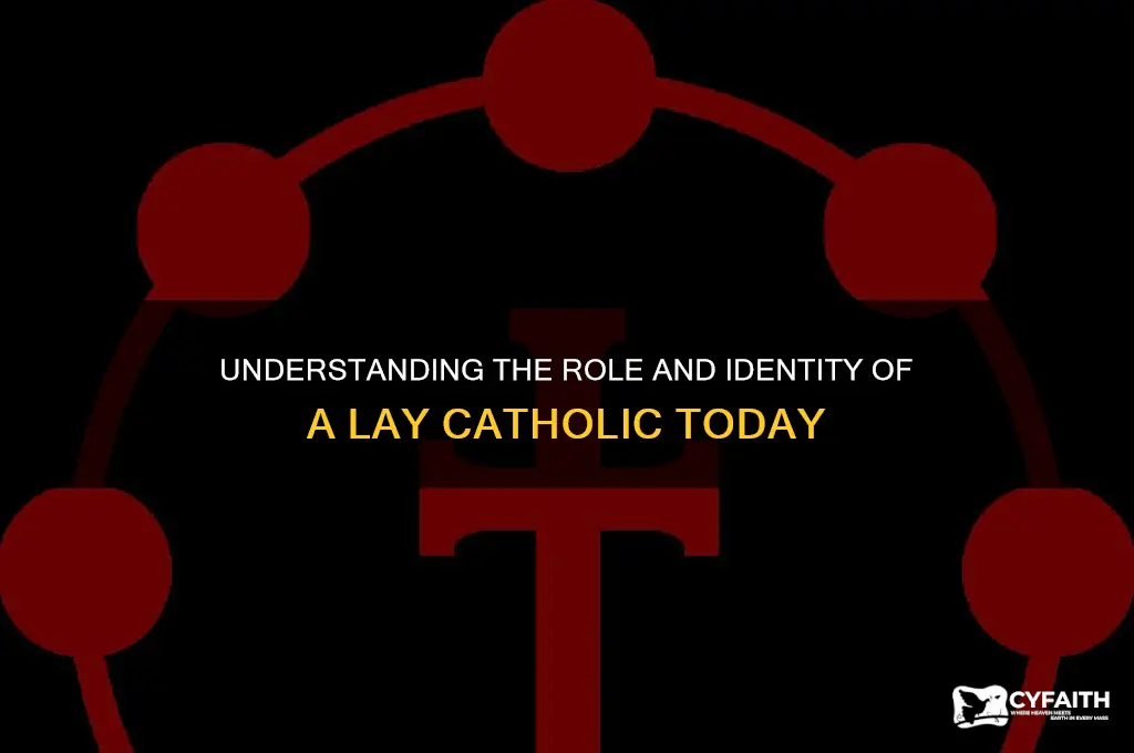 what is a lay catholic