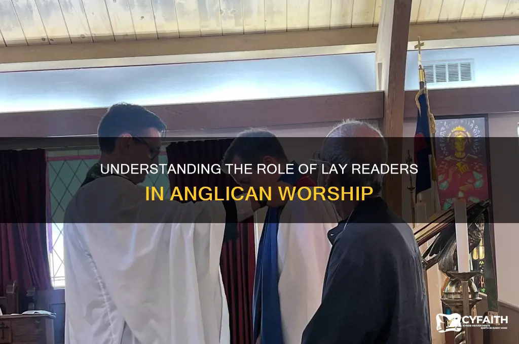 what is a lay reader in tha anglican tradition