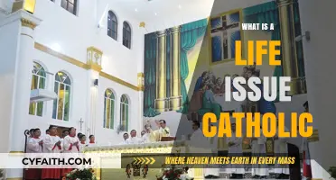 Understanding Catholic Life Issues: Faith, Morality, and Ethical Choices