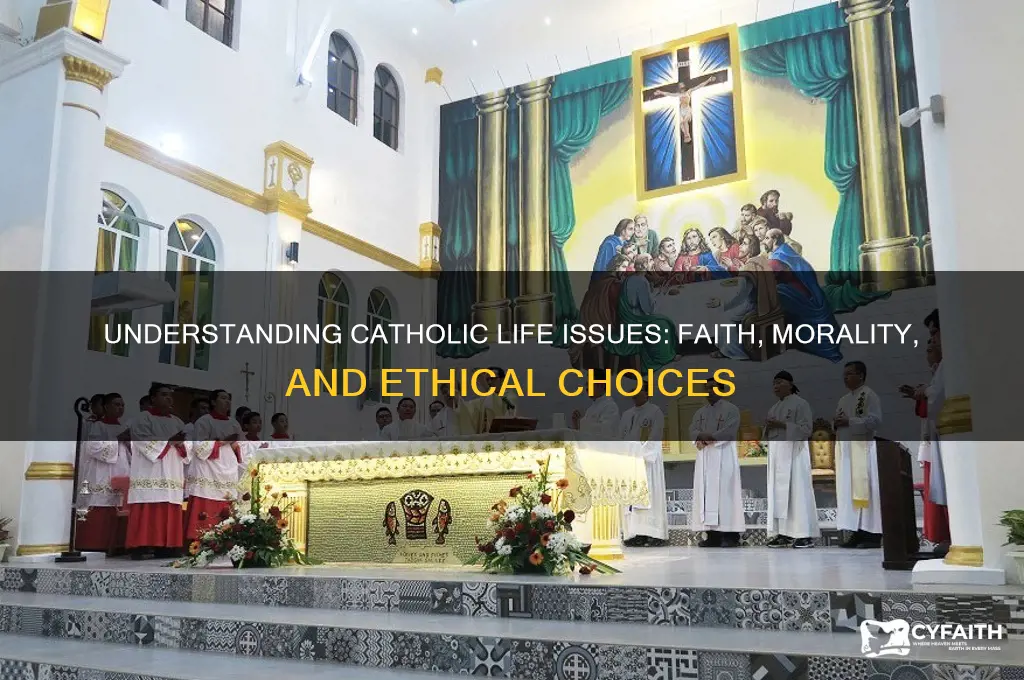 what is a life issue catholic