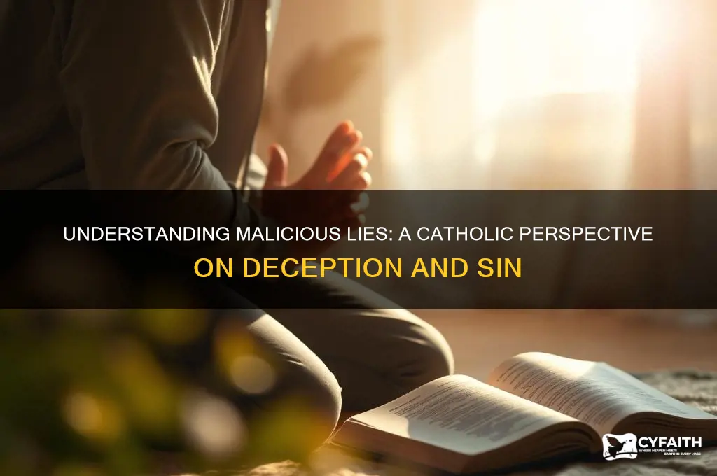 what is a malicious lie catholic