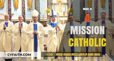 Understanding the Core Values of a Mission Catholic Identity
