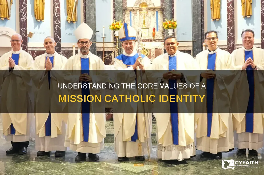 what is a mission catholic