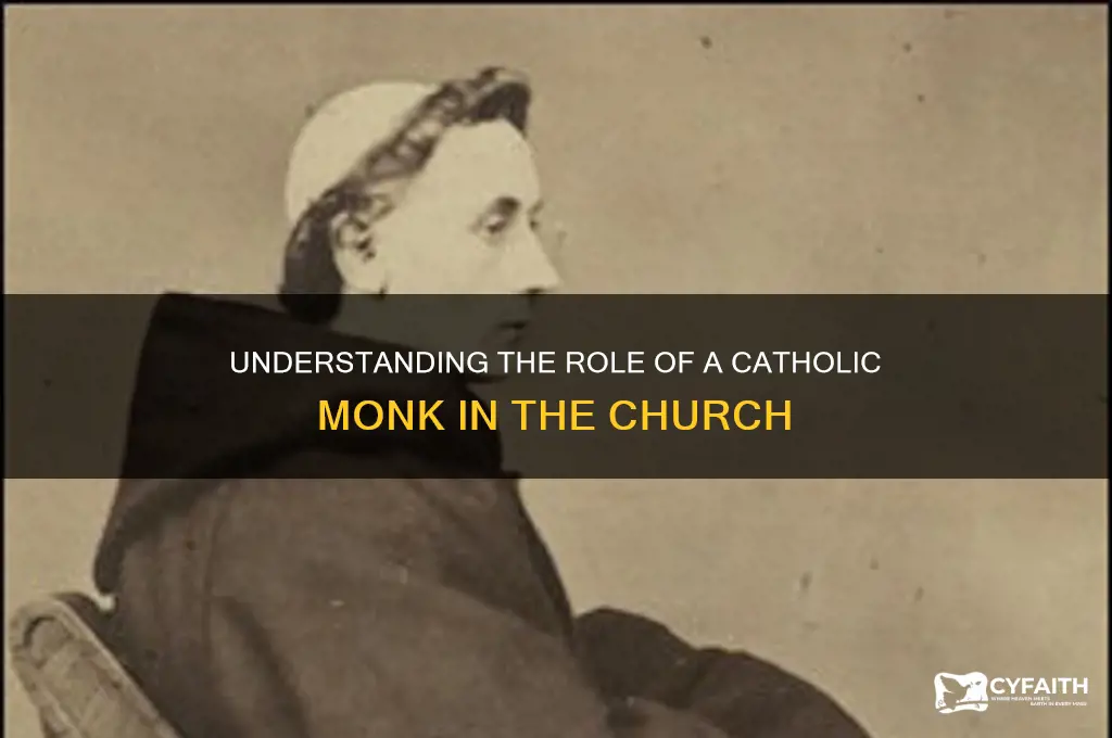 what is a monk catholic