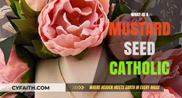 Understanding the Mustard Seed Catholic: Faith, Growth, and Parable Insights