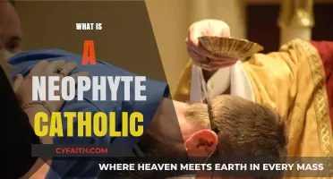 Understanding the Journey: What It Means to Be a Neophyte Catholic