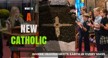 Understanding the Modern Catholic Identity: Who Are the New Catholics?