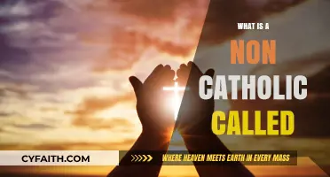 Understanding Non-Catholic Identities: Exploring Terms and Beliefs Beyond Catholicism