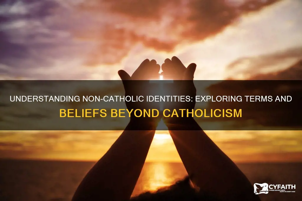 what is a non catholic called