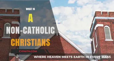Understanding Non-Catholic Christians: Beliefs, Practices, and Denominations Explained