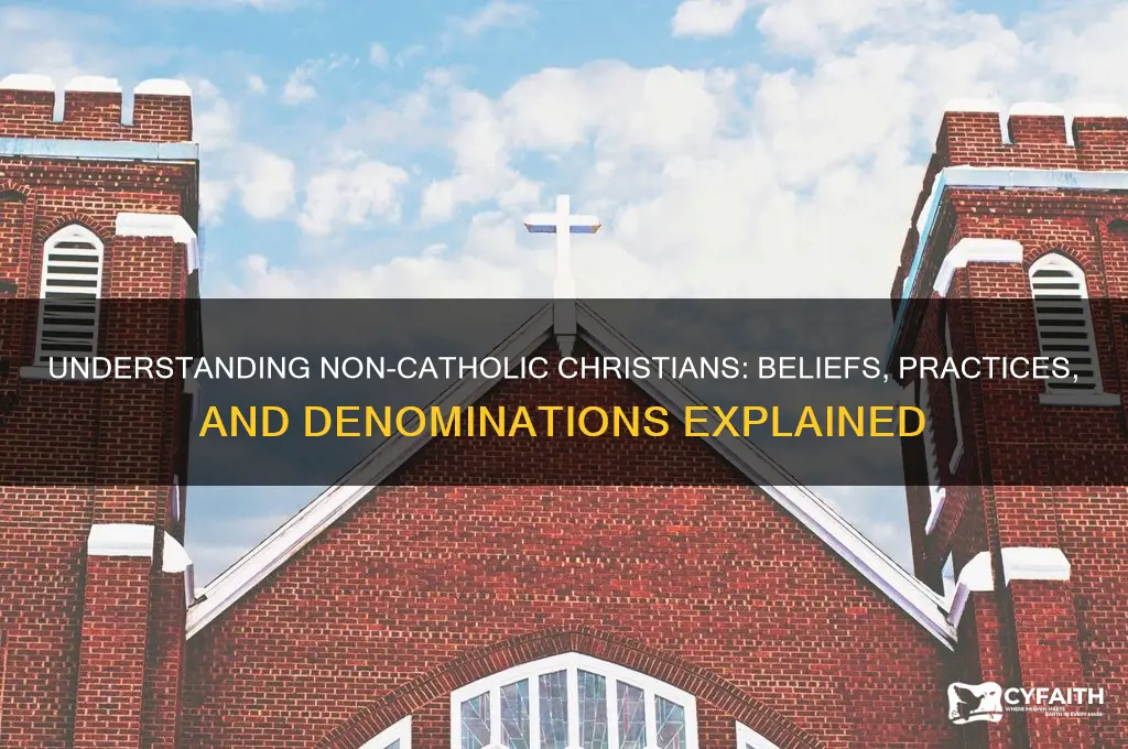 what is a non-catholic christians