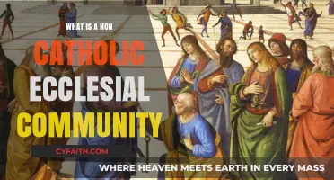 Understanding Non-Catholic Ecclesial Communities: Faith, Structure, and Identity Explained