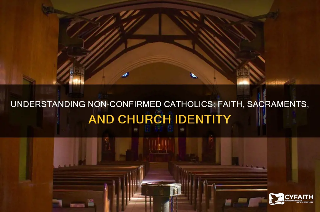 what is a non confirmed catholic