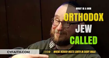 Understanding Non-Orthodox Jewish Identities: Terms and Definitions Explained