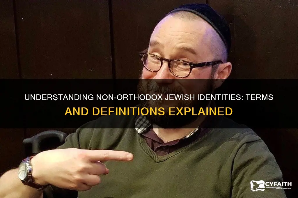 what is a non orthodox jew called