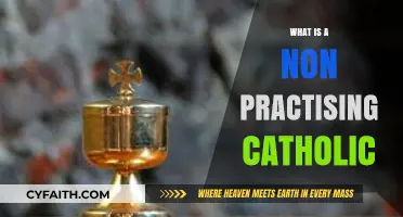 Understanding Non-Practising Catholics: Faith, Identity, and Modern Beliefs